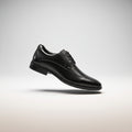 Francajel Shoe